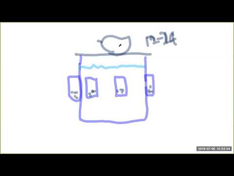 2019 07 05 PM Public Teaching in Bengali - বাংলায় পাবলিক শিক্ষা