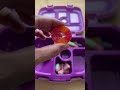 Packing School Lunch HOT DOG Shorts