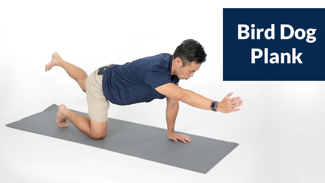 Low Back Pain Relief: Bird Dog Plank