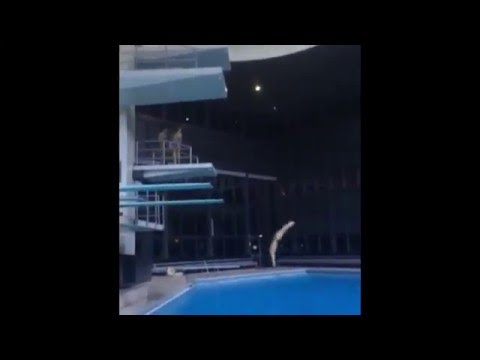 alexis jandard diving 2015