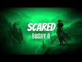 Bushy B Scared Slowed I M Scared