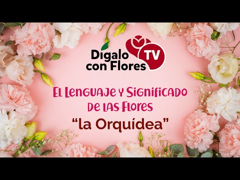 , title : 'EL SIGNIFICADO DE LAS FLORES | LA ORQUÍDEA'
