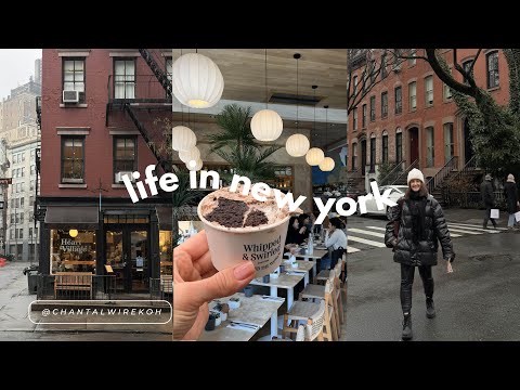 nyc vlog | whitney museum, brunch and dessert spots in the west village