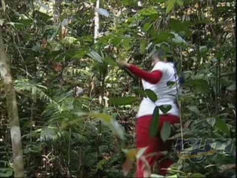 Dari Mata Arisa Short Version Part 1A