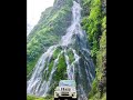 Nature Video