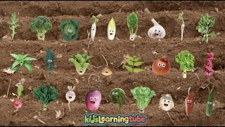 Vegetable Song for Kids- Sing along with the lyrics below