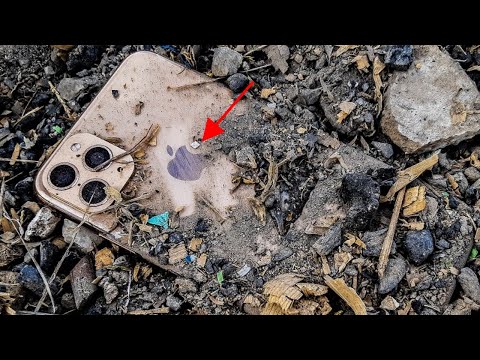 iPhone 11 Pro Max Restoration 512GB | Restore iPhone 11 Pro Max