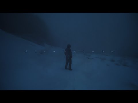 insensible - dreamlight