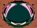2 0 I Killed Klasky Csupo In Low Voice Squared