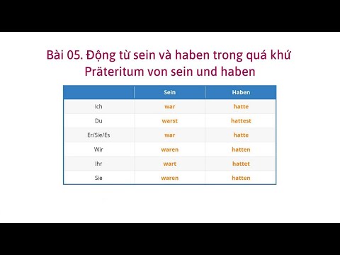 Bài 05. Động từ sein e haben trong quá khứ