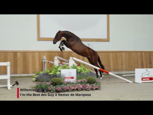 Willemien