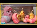 LARVA CARTOONS FULL EPISODE BIG FAMILY CARTOONS FULL MOVIE FUNNY CARTOON COMPILATION