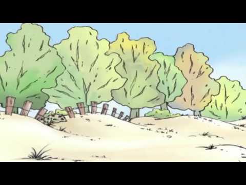 Clifford the Big Red - "The Great Race / Tummy Trouble"