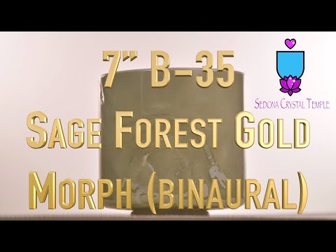 Sage Forest Gold Morph Crystal Singing Bowl | Binaural