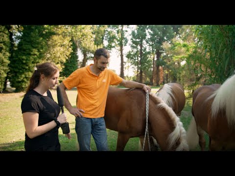 Claus Luber - Backstage | CAVALLUNA – Unsere Fanreporter finden es heraus