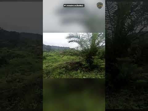 FINCA AGROPECUARIA EN SAN LORENZO, ESMERALDAS ($279,457)