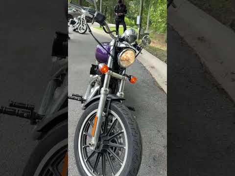 XL 1200L 2008 Sportster® 1200 Low