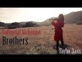Brothers (Fullmetal Alchemist) - Violin - Taylor ...