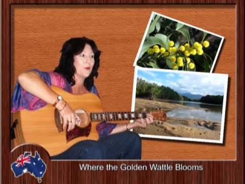 Laura Downing  - Where the Golden Wattle Blooms