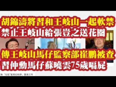 胡锦涛将习和王岐山一起软禁。禁止王岐山给张岂之送花圈，传王岐山马仔监察部副部长崔鹏被查。朱镕基习仲勋马仔苏晓云75岁嗝屁，湖北关工委主任。 2026-07-28 00:10