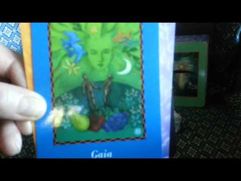 Wie finde ich einen neuen Partner?