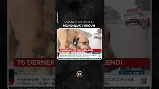 Mama Lobisinden Milyonluk Vurgun