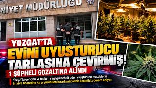 🚨 Yozgat’ta Evini Uyuşturucu Tarlasına Çevirmiş! 1 Şüpheli Gözaltına Alındı
