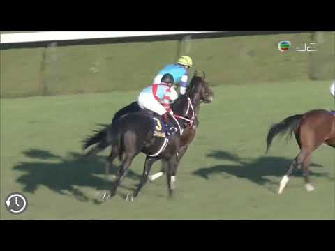 2020菊花賞 2020 Kikuka Sho G1