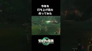 今年も花火、打ち上げてみた。  #ティアキン #ゼルダの伝説 #ティアーズオブザキングダム #shorts