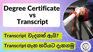 What is Transcript/ Degree Certificate vs Transcript/ Detailed Certificate