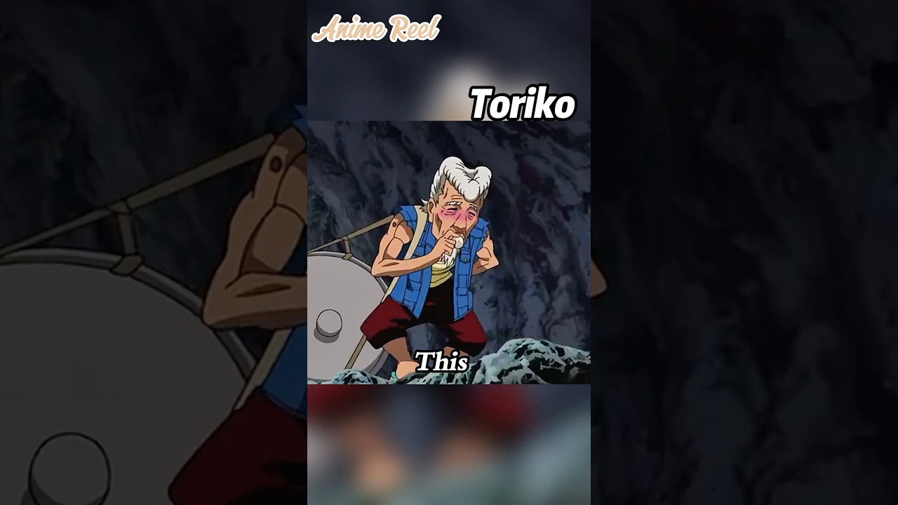 The 500-Year-Old Man Who STOPPED Earth's Rotation... SOLO? #shorts #toriko #cartoon