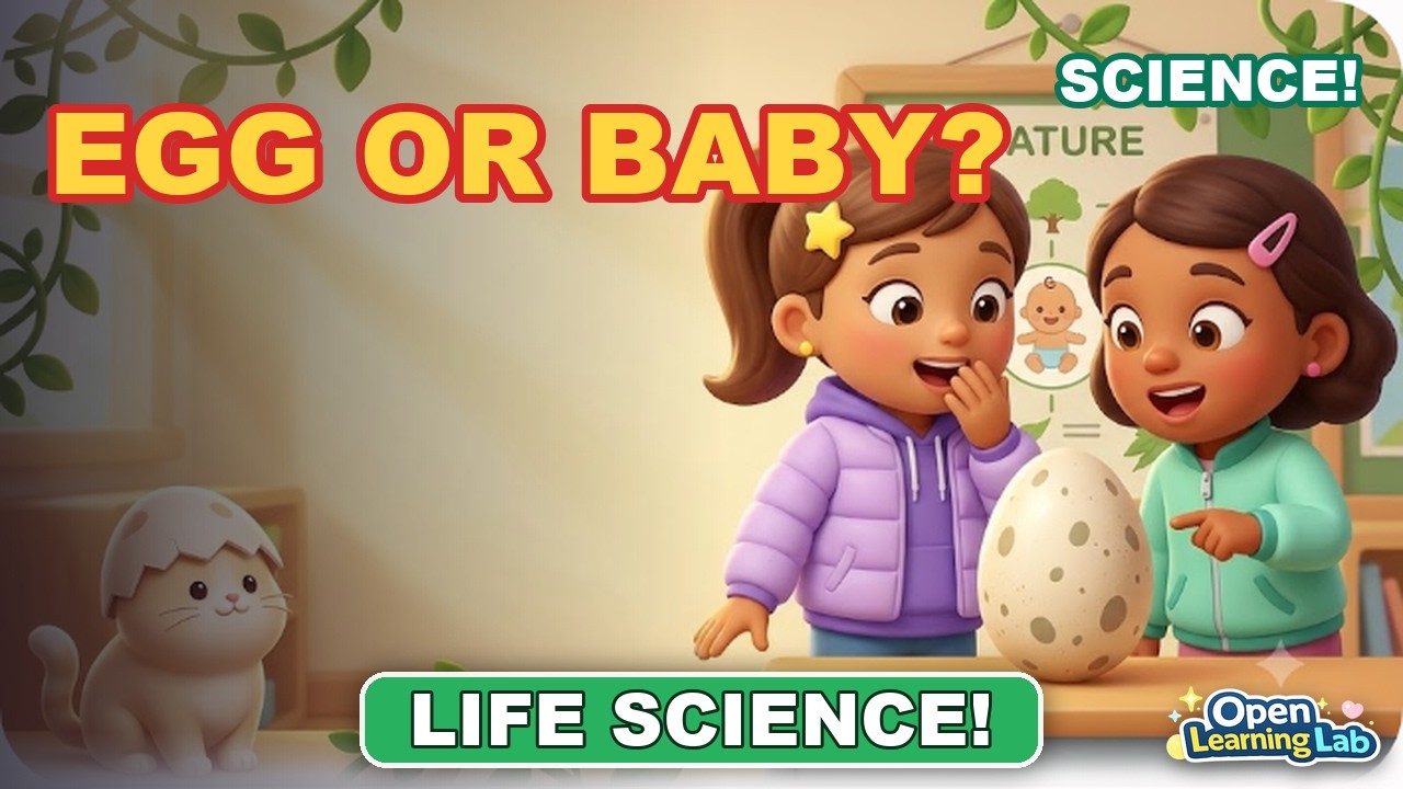 Why Dont Humans Lay Eggs | Science for Kids