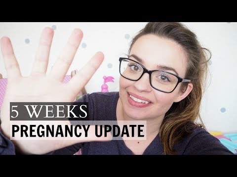 5 WEEKS PREGNANT | SYMPTOMS HAVE STOPPED??