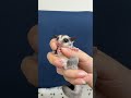 フクロモモンガのYouTubeサムネイル画像