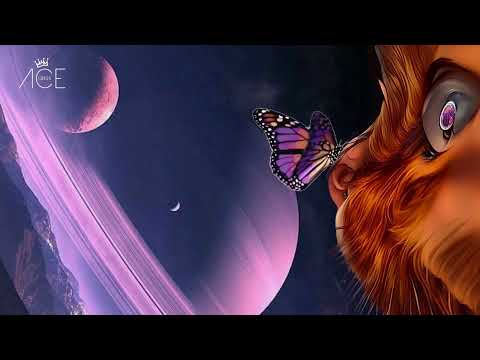 Ahmet Ozatik - Butterfly