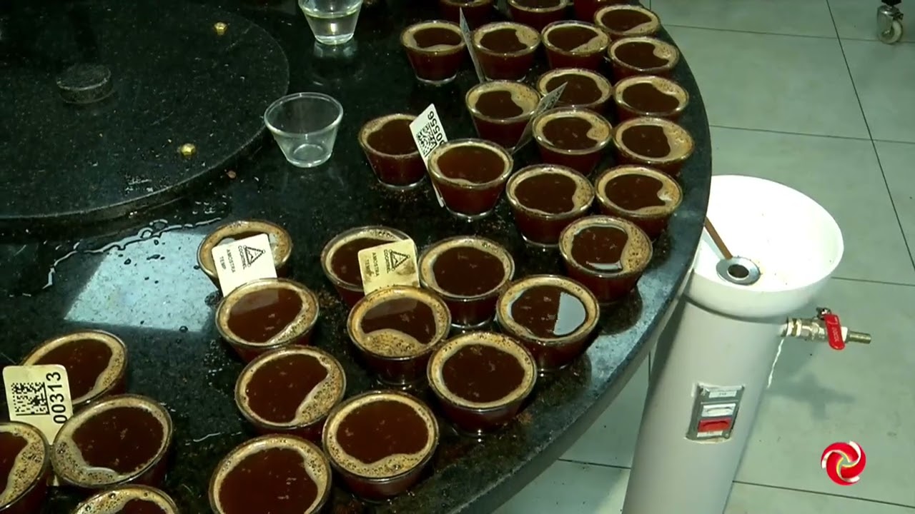 Inscrições para o Concurso de Qualidade dos Cafés de Minas Gerais