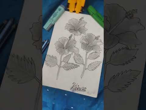 #sketching 'a hibiscus flower.' please subscribe