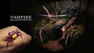Power-Free Waterfall? Create a Vampire Crab Paludarium with a Waterfall in Just 10 Minutes