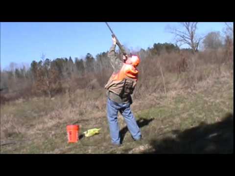 download lagu mp3 mp4 Pheasants For Sale In Alabama, download lagu Pheasants For Sale In Alabama gratis, unduh video klip Pheasants For Sale In Alabama