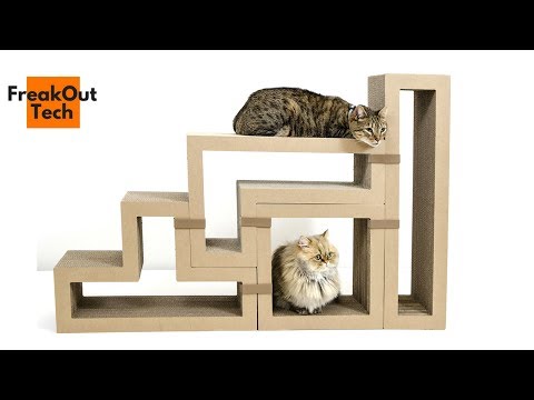 5 Incredible Inventions For Your Cat #5 ✔ Video