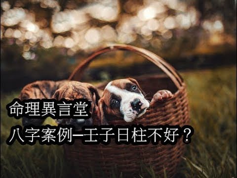 壬子日