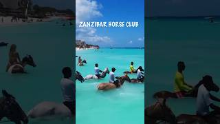 Join us in Zanzibar Dec 5 - 10 🌴#zanzibar #tanzania #travel