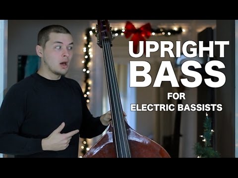 Upright Bass for Electric Bassists [ AN's Bass Lessons #17 ]