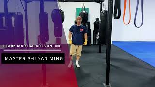 Kickboxing For Beginners | UK Shaolin Teaching Sanda Techniques | Front Push Kick | UK Shaolin