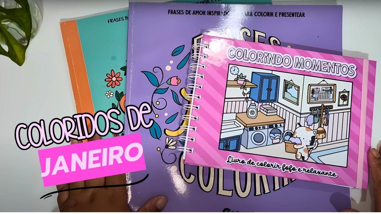 MEUS COLORIDOS DE JANEIRO