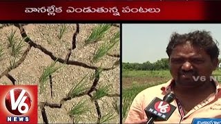 Telangana Farmers Crippled with Debts | Seeks Government Help | Nizamabad - V6 News