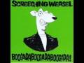 screeching weasel holy hardcore