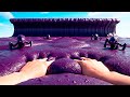 Which Ocean Would You Swim In Satisfying Relaxing AI ASMR Compilation Aiasmr Asmr Sleepasmr