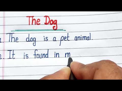 essay on the dog in english/10 lines essay on the dog/kutta par nibandh