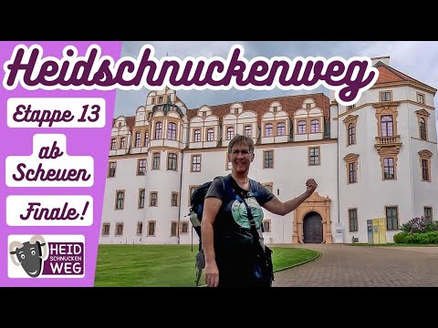 FINALE 🐏Heidschnuckenweg 🥾Etappe 13 ab Scheuen